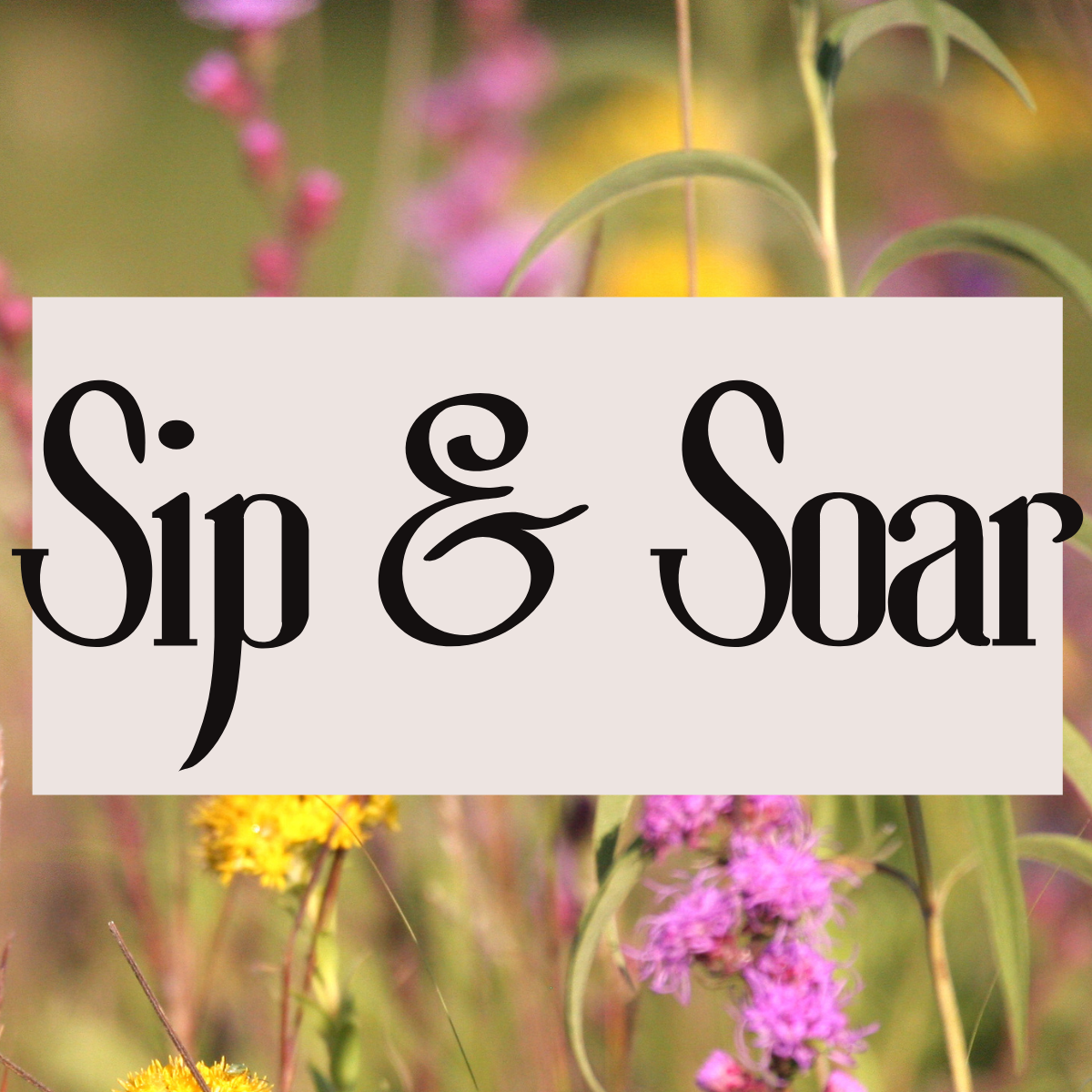 Sip and Soar - logo